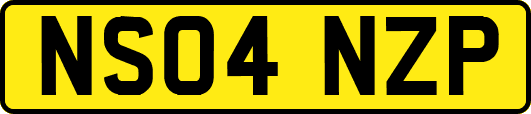 NS04NZP