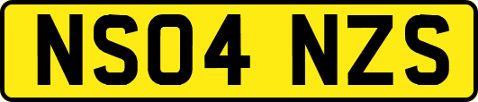 NS04NZS