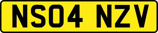 NS04NZV
