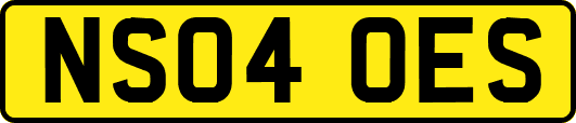 NS04OES
