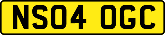 NS04OGC