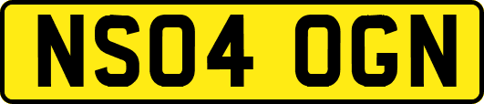 NS04OGN