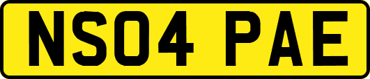 NS04PAE