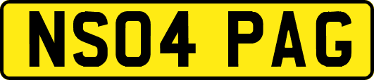 NS04PAG