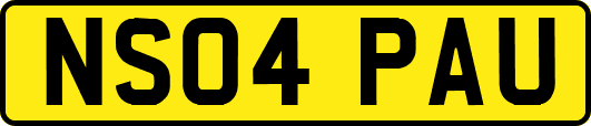 NS04PAU