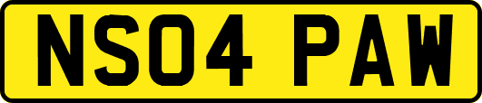 NS04PAW