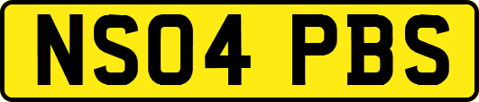 NS04PBS