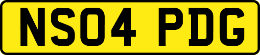 NS04PDG