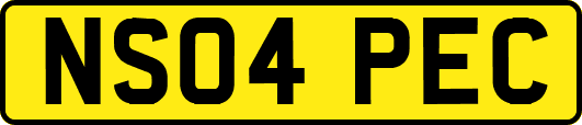 NS04PEC