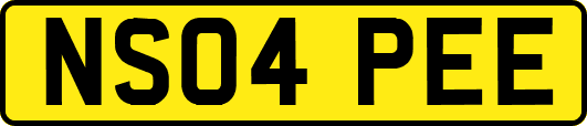 NS04PEE