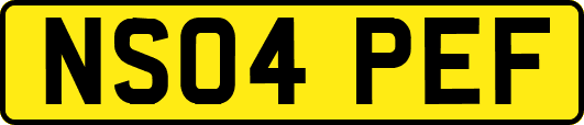 NS04PEF