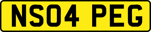 NS04PEG