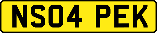 NS04PEK