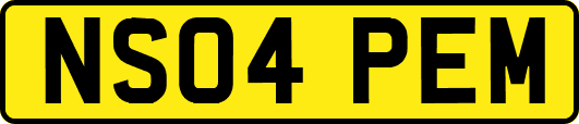 NS04PEM