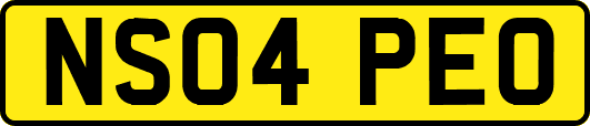 NS04PEO
