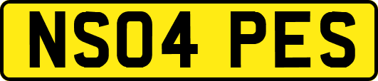 NS04PES