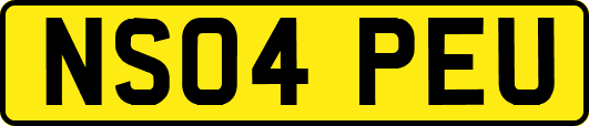 NS04PEU