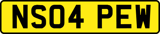 NS04PEW