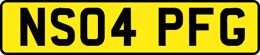 NS04PFG
