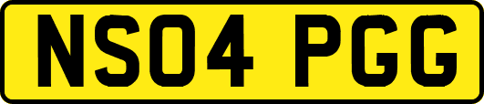 NS04PGG