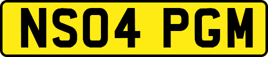 NS04PGM