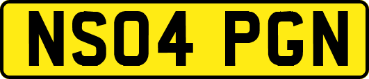 NS04PGN