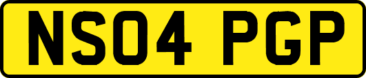 NS04PGP