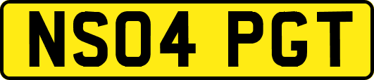 NS04PGT