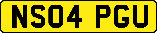 NS04PGU
