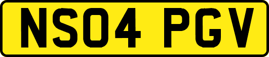 NS04PGV