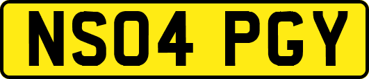 NS04PGY