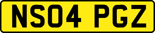 NS04PGZ