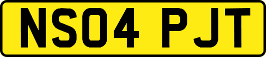 NS04PJT