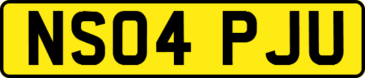NS04PJU