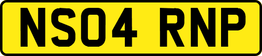 NS04RNP