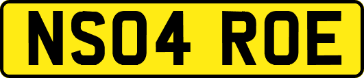 NS04ROE