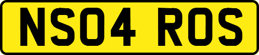 NS04ROS