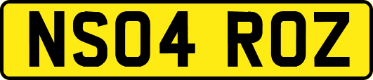 NS04ROZ