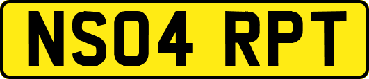 NS04RPT
