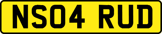 NS04RUD
