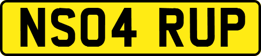 NS04RUP