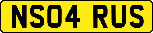 NS04RUS