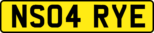 NS04RYE