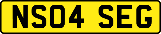 NS04SEG