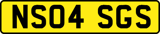 NS04SGS
