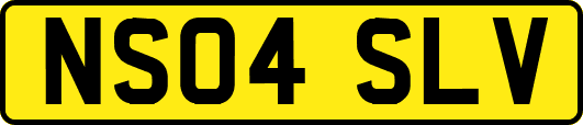 NS04SLV