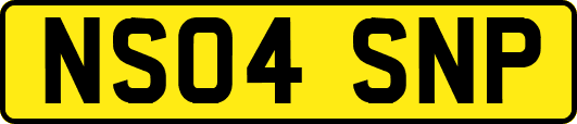 NS04SNP
