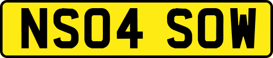 NS04SOW