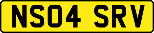 NS04SRV