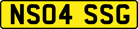 NS04SSG
